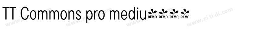 TT Commons pro mediu字体转换